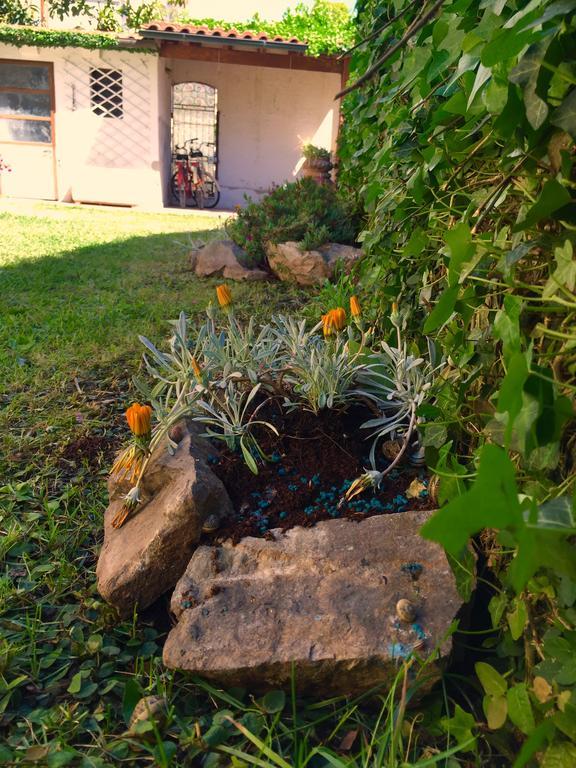 Harmony House Prestige Bed & Breakfast Pisa Luaran gambar